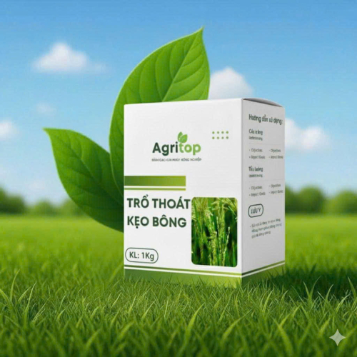 Bộ Giải Pháp Đòng Bự Bông Kẹo