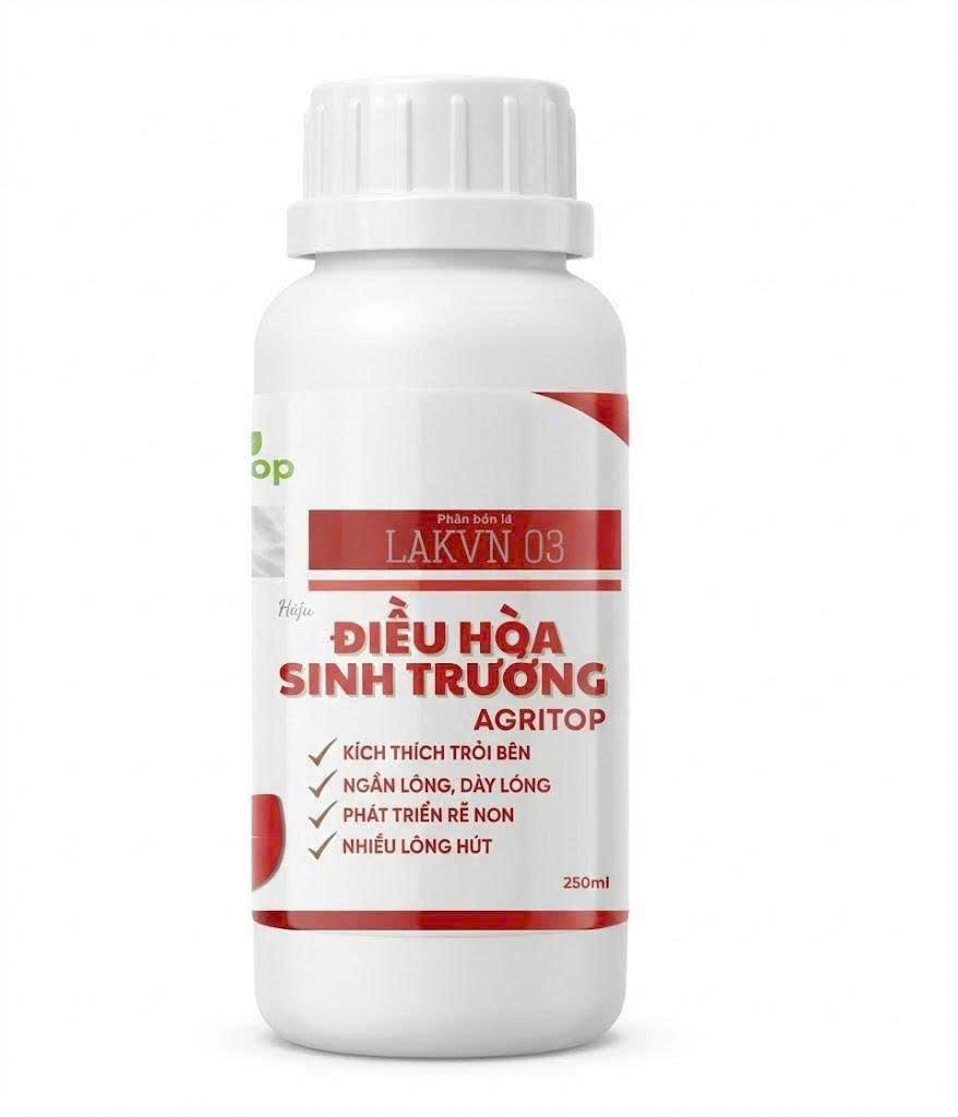 Bộ Giải Pháp Chồi To Cây Khỏe